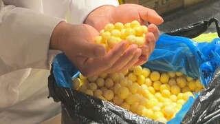 This potato was dug up right after it had just formed, so the yield is quite small. However, its tex