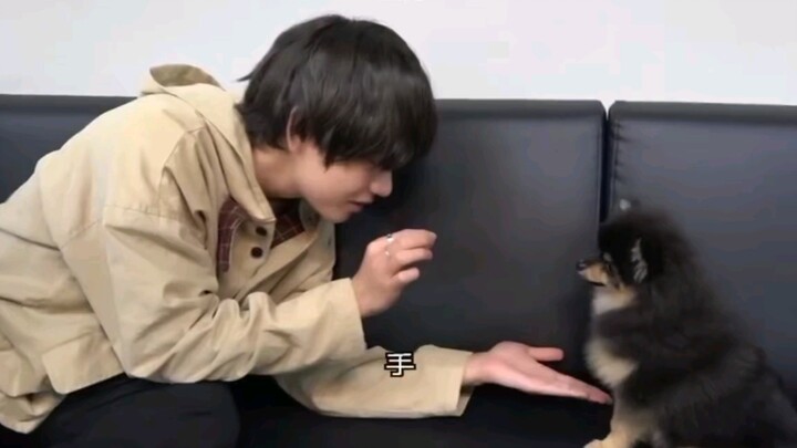 Cáu cưng Carboni, không nghe lời bố, lại thích nghe lời chú Jimin hơn!