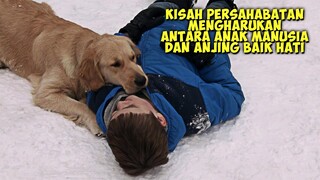 Kisah Persahabatan Mengharukan Bersama Anjing Pintar Dan Baik Hati | Alur Cerita Film