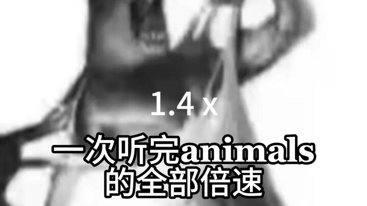 Mendengarkan semua versi dengan kecepatan ganda dari lagu Animals sekaligus