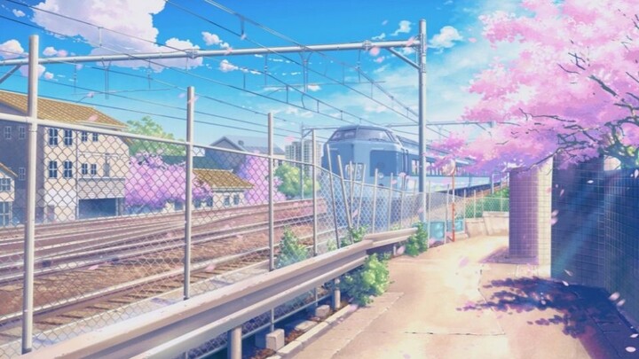 MAD·AMV|Makoto Shinkai's Anime|Forgot Your Name, But I still Love You