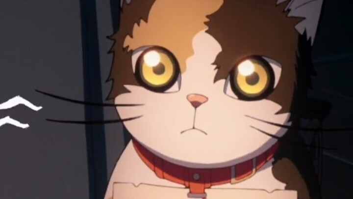 Demon Slayer: لم أكن أتوقع أن يصبح تشيتشي مارو في النهاية من الدرجة الأولى العليا