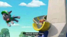 paw patrol Musim 11 Episode 18 Sub indonesia