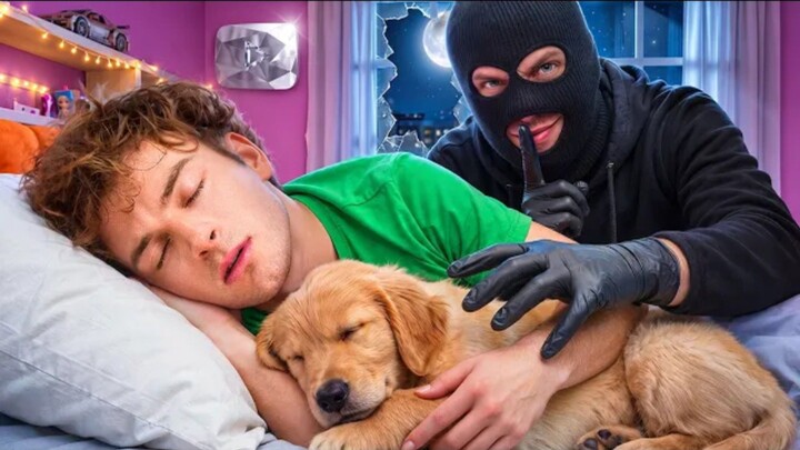 Mi cachorro está desaparecido!