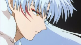 【Shavi Ⅰ Plot Direction】Sesshomaru and Kagome's Love History