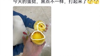 笑鼠，双胞胎为什么要穿一模一样