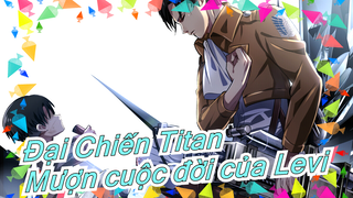 [Đại Chiến Titan] Nhân vật chính: Levi - Mượn người một kiếp bình thường