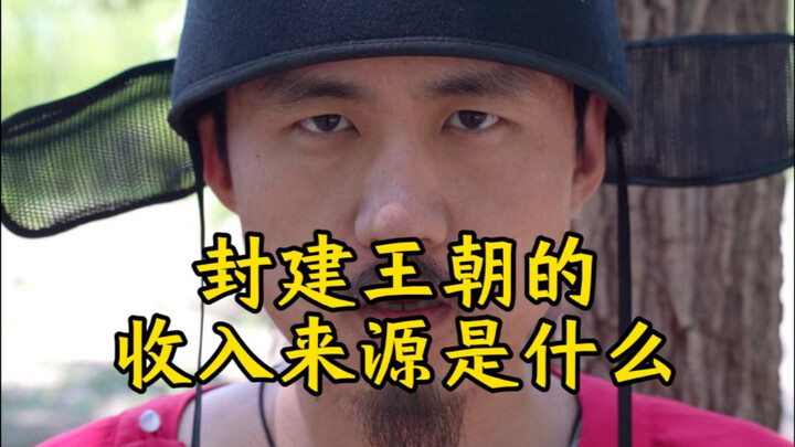 Thuế ruộng là khoản lớn nhất, sau muối và sắt còn có trà mã, lao dịch đáng sợ nhất, thuế nhân khẩu, 