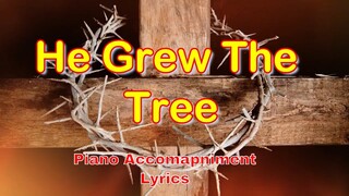 He Grew The Tree | Piano Accompaniment | Lyrics