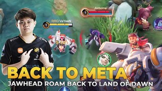 AKHIRNYA BALIK LAGI KE META, HERO ROAMER YANG JARANG DIPAKAI - MLBB