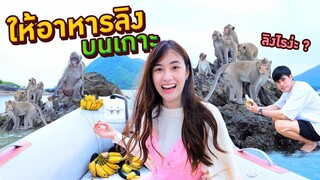 อยากเป็นลิงให้เธอจั๊ก เอ้ย!! เจี๊ยก (ฮ่าๆๆอย่าผวนนะ)