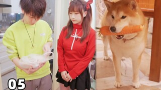 狗都抢我们东西吃？！