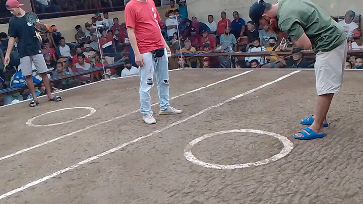 Roundhead Naic cockpit arena