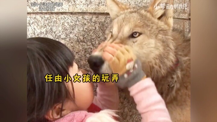 "You've never tamed me; I just retracted my fangs when I loved you." I thought all humans were as ki