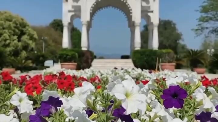 Nature beauty 🌺🌻