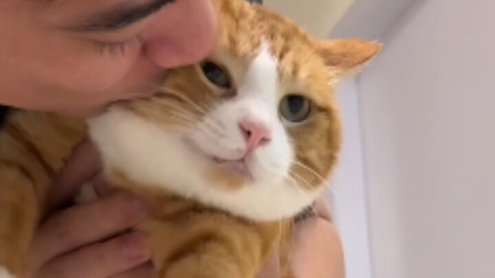 Cat: Are you just stuck in a bug here?