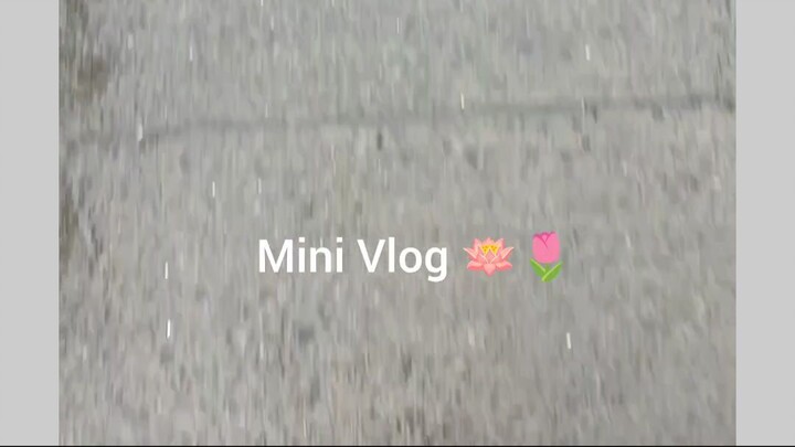 A Quite Day In My Life ❤️