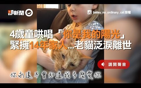 4-Year-Old Girl Sings “You Are My Sunshine” to Comfort Her 14-Year-Old Family Member... Old Cat Pass