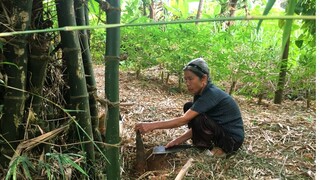 Bún vịt nấu măng tre thơm ngon đậm đà hương vị quê nhà(bamboo shoot duck) Cơm Mẹ Nấu