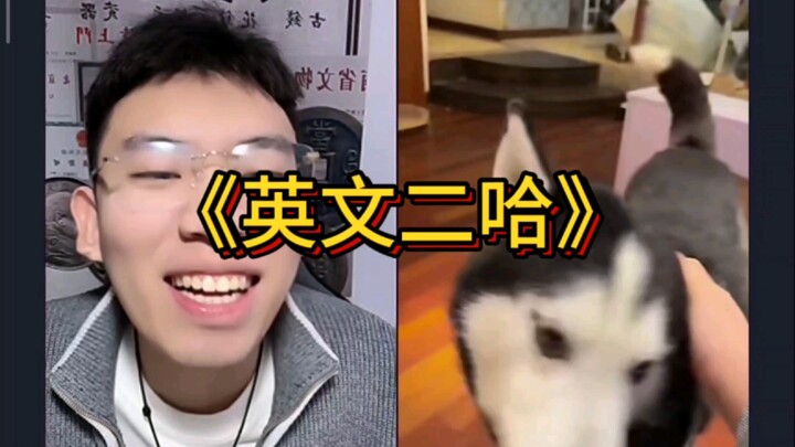 ตะลึง! ถิงเฉวียน 100 ปี หมาฮัสกี้ก็พูดอังกฤษได้แล้ว!