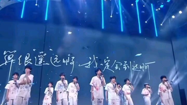 TF家族