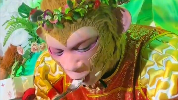 Who’s been studying the Snow Cookie Monkey?