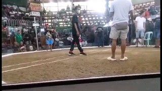 EP Backyard... 2hits Champion 1st fyt, Calamba
