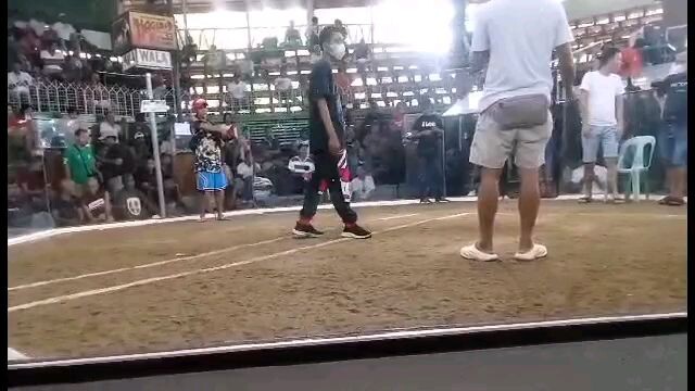 EP Backyard... 2hits Champion 1st fyt, Calamba