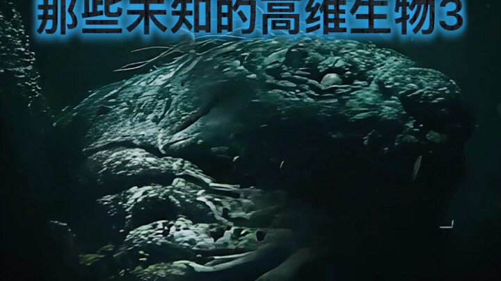 Makhluk Berdimensi Tinggi yang Tidak Dikenal 3