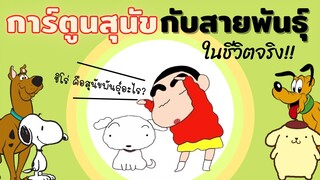 16 การ์ตูนสุนัขกับสายพันธุ์ในชีวิตจริง #ECOBOK