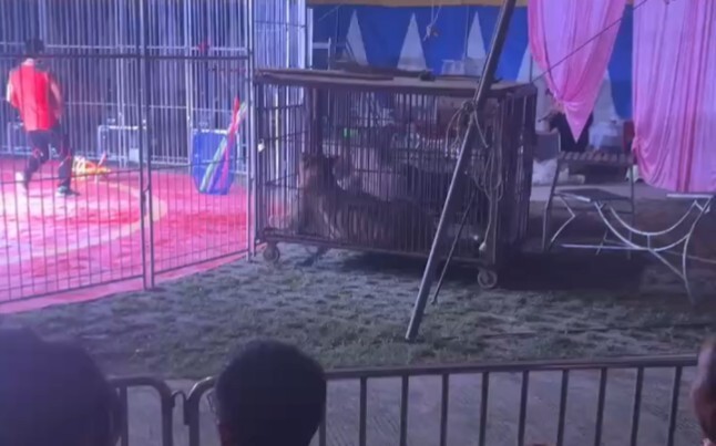 ฮ่าๆๆๆ