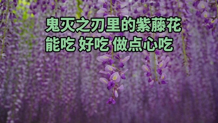 Thánh Gươm Diệt Quỷ nói hoa tử đằng có độc với ma, còn con người thì sao?