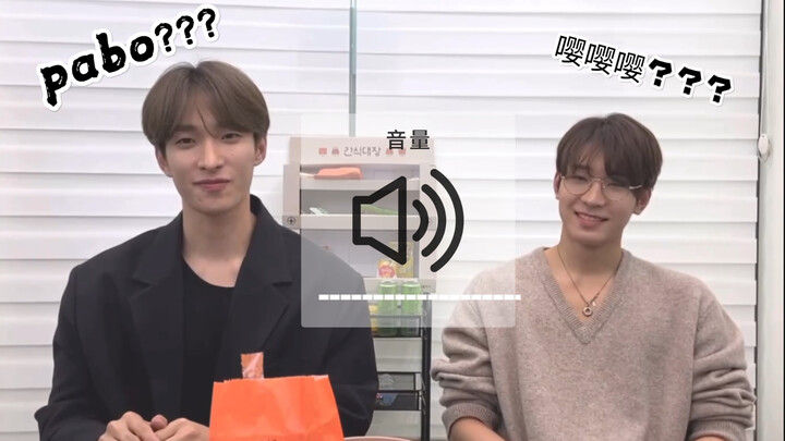 【DK Lee Seokmin × Jeon Wonwoo】Nhớ ID fan | Đúng là anh mà McDoul, có freestyle không? | Pabo đổi sắc