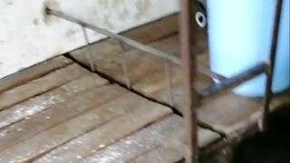 Một trường trung học kiểu mẫu ở đâu đó