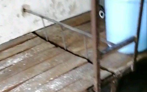 某 地 示 范 性 高 中