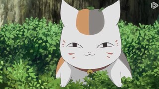 "So, is Mr. Cat a god?"