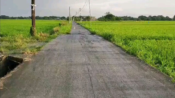 Just trying to upload first video here #newbie