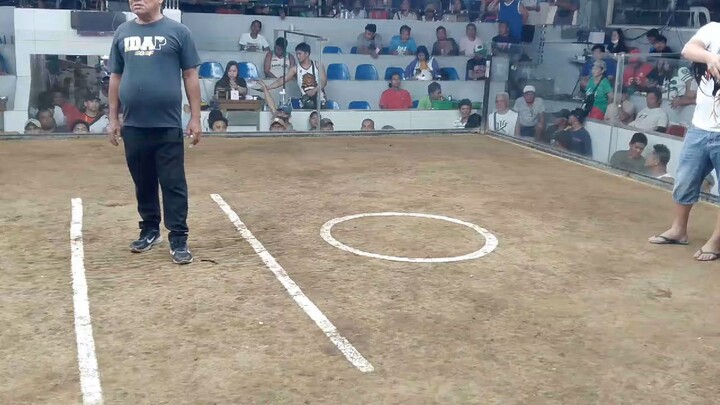 second fight pa champion 2hits ulutan sa binan