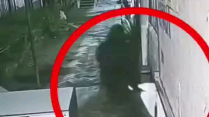 মিরপুর আর্মি হাসপাতালের প্রকল্প ব্যবস্থাপক নজরুলকে ভোর ৪ টা ৪৮ মিনিটে ব'স্তায় ভ"রে অপ"হরণ, এখনো সন্ধ