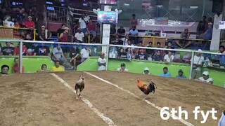 Lipa Arena 8/24 7 stag elimination LJ Vet/TDF-2, 3rd fight wins.