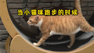 边散步边听音乐，小猫咪想不瘦都难