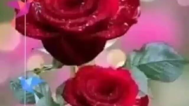 video-84775a6b-85c9-4b43-9d7a-2606a38dc6f3-1666028610