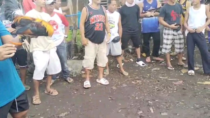 bantex vs talisayon  winner puwa