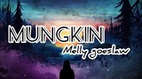 Mungkin - Melly Goeslaw + Lyric ( cover by Fandi Afd )