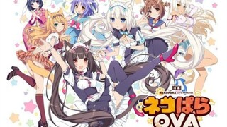 Nekopara OVA sub indo