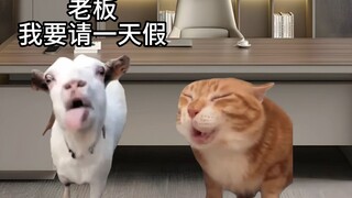 00后的请假方式