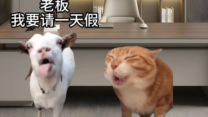 00后的请假方式