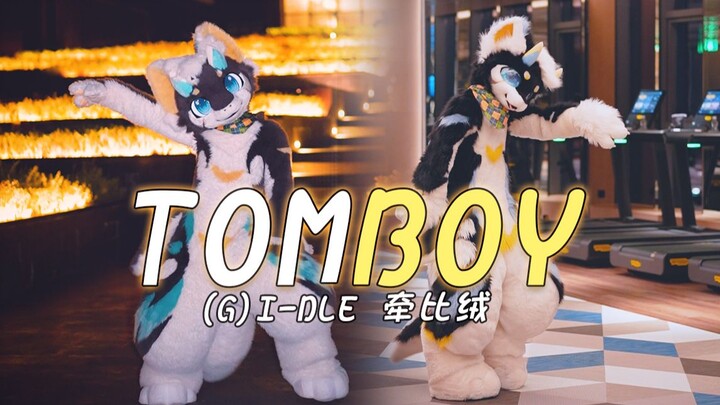 当我开启双重形态跳 TOMBOY