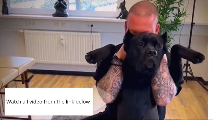 This dog’s reaction going to a chiropractor is hilarious