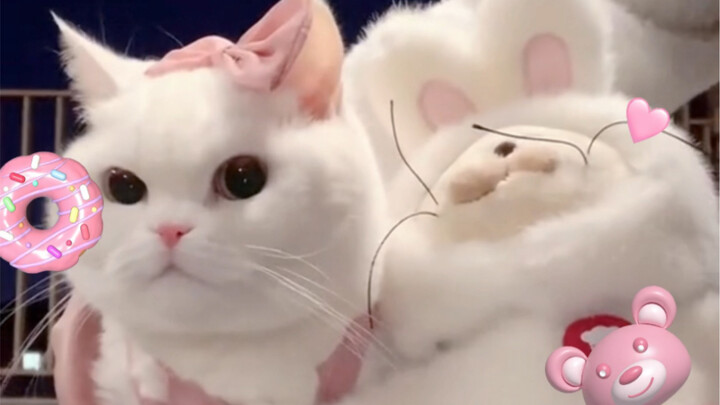 Sassy Sister’s Dopamine-Boosting Outfits